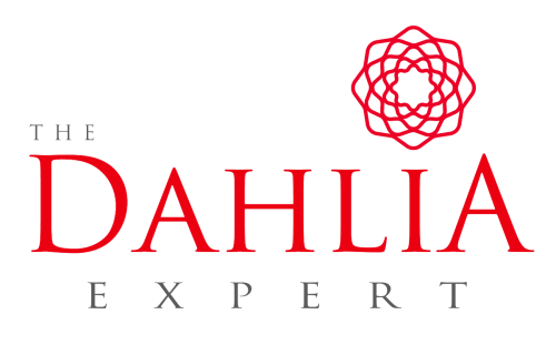 The Dahlia Expert